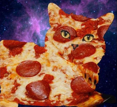 This is where they've gone too far with photoshop😂 | Pizza, Pizza cat ...