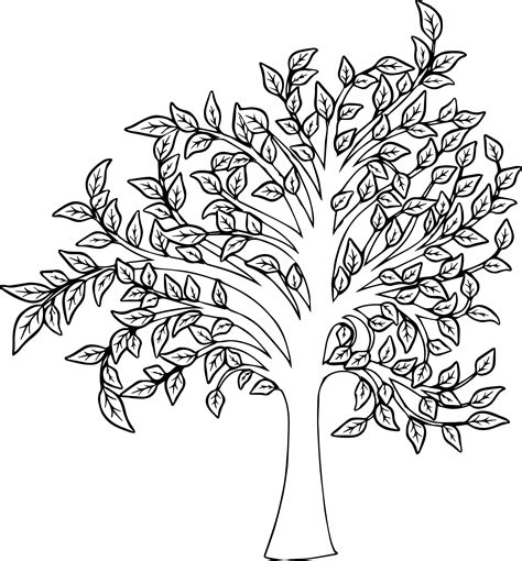 awesome Beautiful Fall Tree Coloring Page | Çiçek boyama sayfaları ...