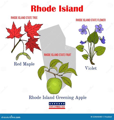 Rhode Island. Set of USA Official State Symbols Stock Vector - Illustration of ornamental, state ...