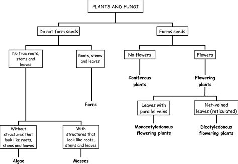 Assessment, To classify plants according to their, By OpenStax | Jobilize