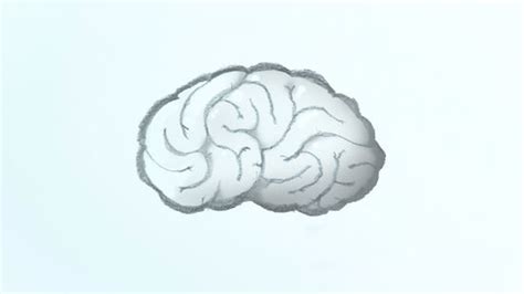 how to draw a brain