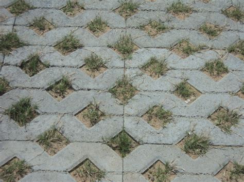 Grass Paver Block at Best Price in Kolkata, West Bengal | Omkar ...