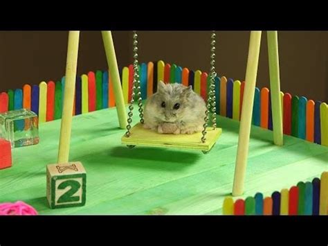 Tiny Hamster Playground is as Much Fun as a Day at the Park