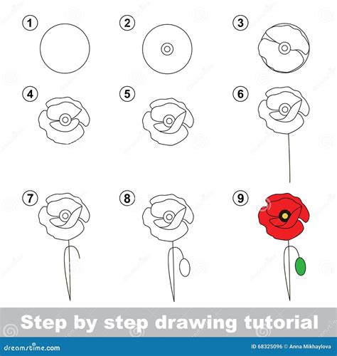 Drawing Tutorial. How To Draw a Poppy Stock Vector - Illustration of drawing, developing: 68325096