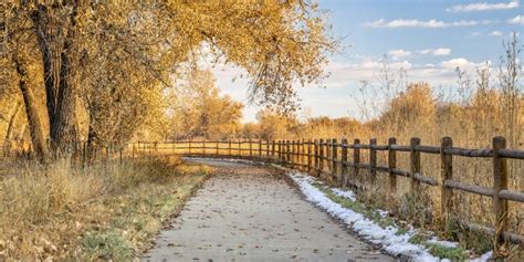 Late Fall Scenery on a Bike Trail with Cottonwood Trees Stock Photo ...