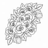 Rose Coloring Pages sketch template