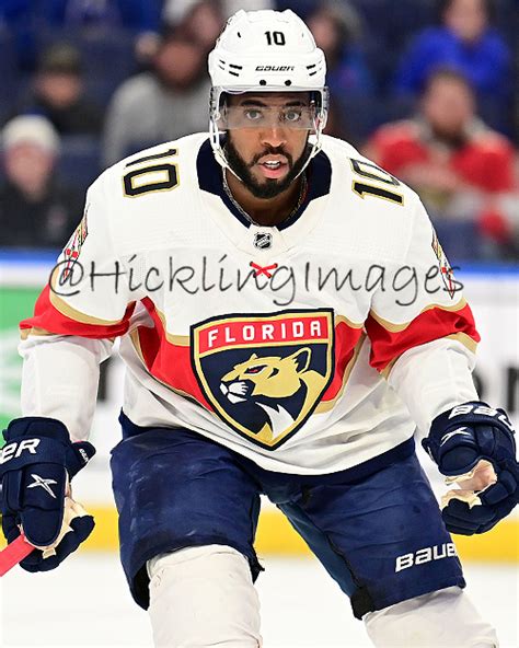 Anthony Duclair - Stats, Contract, Salary & More