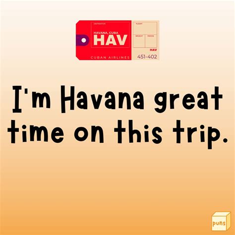 100+ Travel Puns to Make Travel Lovers Laugh - Box of Puns