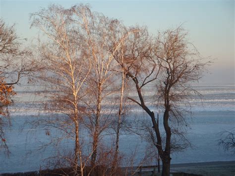 winter at Balaton lake Free Photo Download | FreeImages