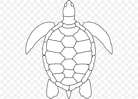 Green Sea Turtle Drawing Clip Art, PNG, 516x594px, Turtle, Animal, Area ...