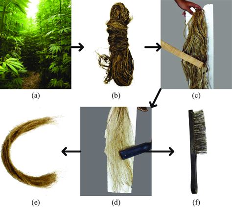 Hemp fiber extraction. | Download Scientific Diagram