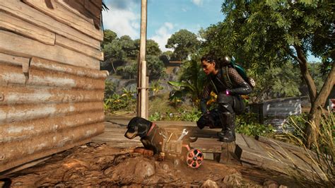 Far Cry 6 Chorizo amigo guide: How to get the sausage dog companion