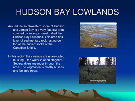 PPT - LANDFORM REGIONS IN CANADA PowerPoint Presentation, free download - ID:7039326