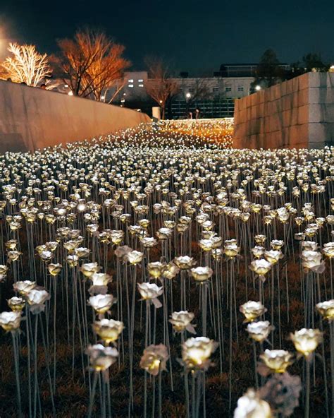 Dongdaemun Design Plaza, Seoul, Korea | Dongdaemun design plaza ...