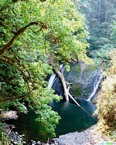 Hiking in Oregon: Silver Falls State Park - Hiking in Oregon - Urban Bliss Life