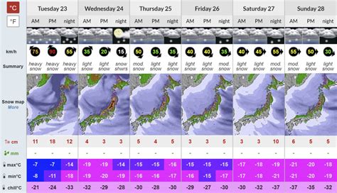 Heavy snowfall shuts Narita Airport as Japan braces for 9-day storm | Ski Asia