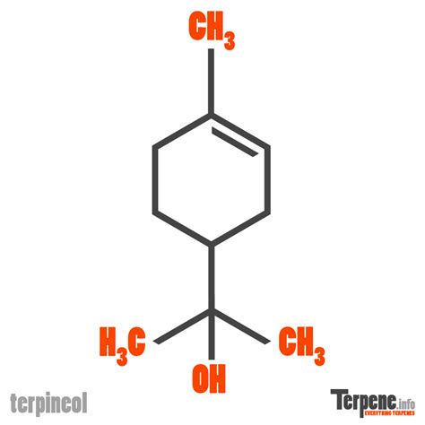 Cannabis Terpene Terpineol | Effects, Research & More