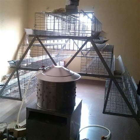 Layers Battery Cage Pictures - Agriculture - Nigeria