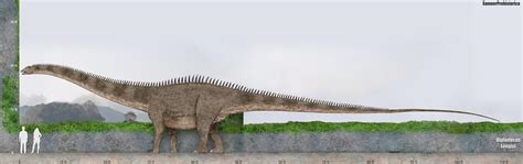 Diplodocus by SameerPrehistorica on DeviantArt