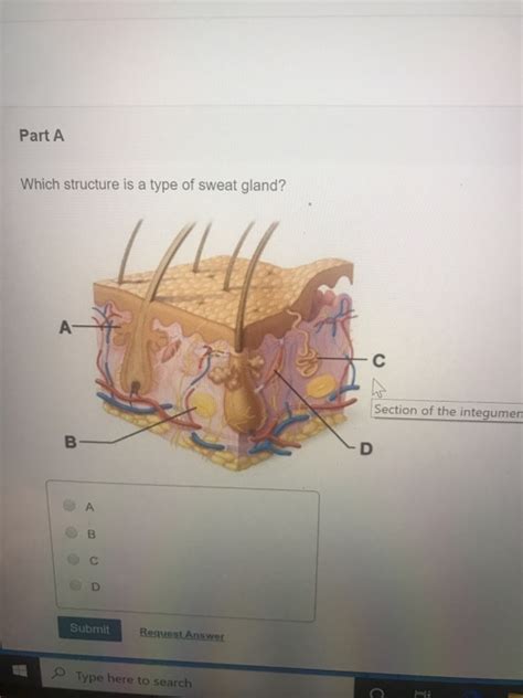 Solved Part A Which structure is a type of sweat gland? | Chegg.com