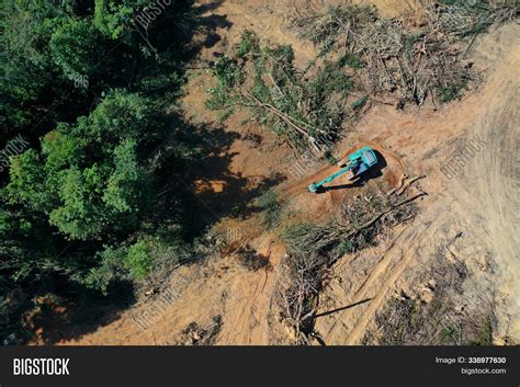 Deforestation. Logging Image & Photo (Free Trial) | Bigstock