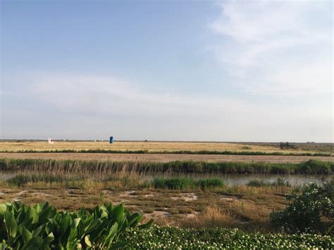 Dongtan Wetland Park (Chongming County) - All You Need to Know Before ...