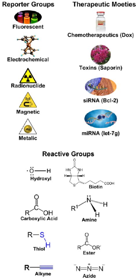 Several strategies for aptamer functionalization. | Download Scientific Diagram