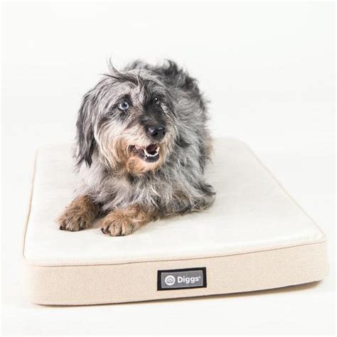 Professional Pet Supplies, Products, Accessories and Equipment Online in 2021 | Dog crate pads ...