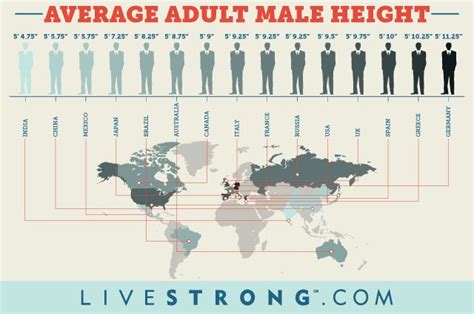 What Is The Average Height For A Man In Japan - MymagesVertical