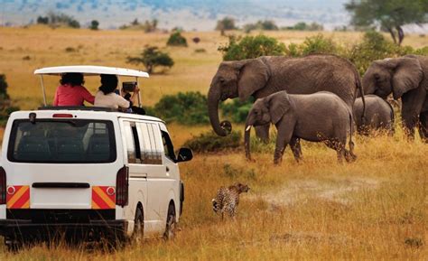 Safari Activities in Amboseli National Park | Kenya Safari Tours