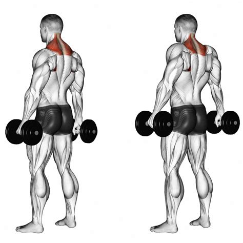 How To Do Barbell Shrugs To Build Beastly Traps And A Thick Neck | Nutritioneering