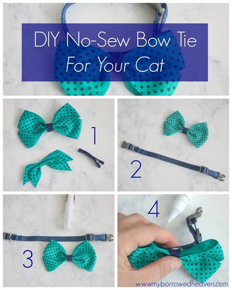 borrowed heaven: DIY No-Sew Bow Tie (For Your Cat!)