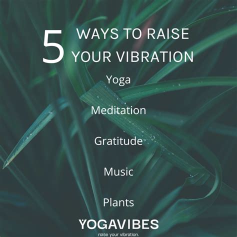 YogaVibes - Raise Your Vibration