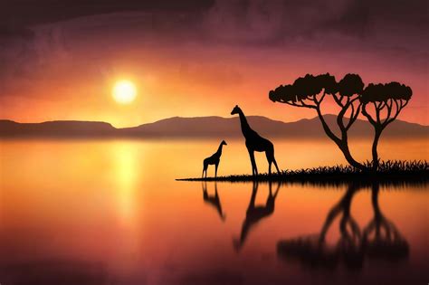 Giraffe Desktop Backgrounds - Wallpaper Cave