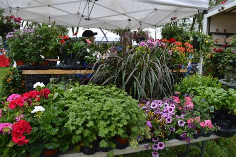 New Village Farmers Market gets under way in Czech Village – Homegrown Iowan