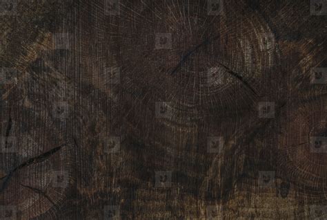 Texture saw cut of the wood logs stock photo (157734) - YouWorkForThem