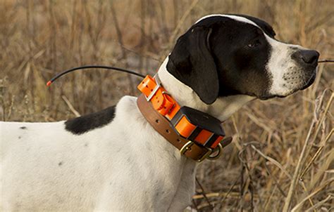 Garmin Astro DC 50 dog collar launches with bark detection and