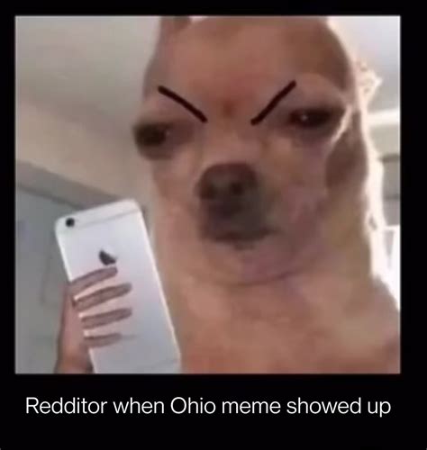 Another Ohio meme : r/memes