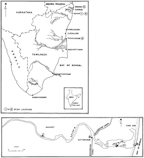 Map of Tamil Nadu with the sampling locations. 1: river (Adyar river);... | Download Scientific ...