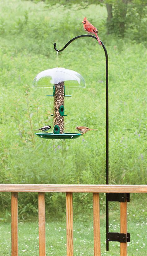 Types of Bird Feeder Hangers | Birdcage Design Ideas