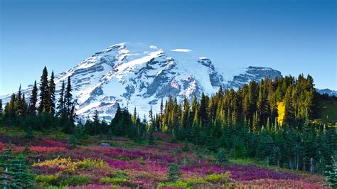 Mount Rainier Wallpapers HD Free Download