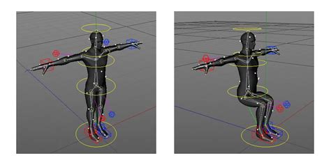 Unveiling the Art of Rigging in 3D Animation - Polydin