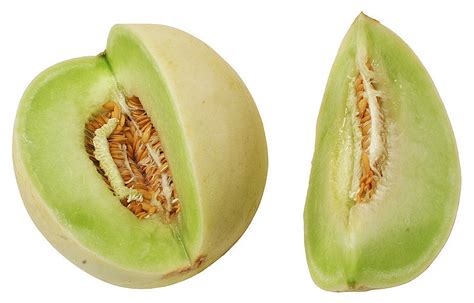 Cantaloupe vs. Honeydew Melon: What is the Deal? | Brian D. Buckley