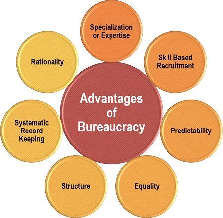 Max Weber Bureaucracy Theory - Definition, Advantages, Disadvantages ...