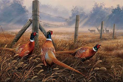 meadow mist pheasants cross stitch pattern look | Hunting art, Hunting painting, Wildlife art