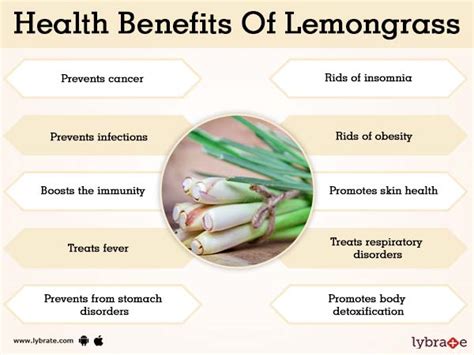 Benefits of Lemongrass And Its Side Effects | Lybrate