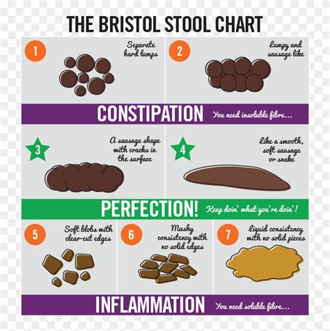 Dog Poop Normal - Cake Bristol Stool Chart, HD Png Download - 800x818(#5913751) - PngFind