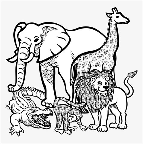 Safari Animal Coloring Pages