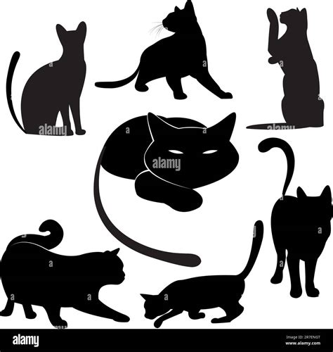 Black cat silhouette collections Stock Vector Image & Art - Alamy