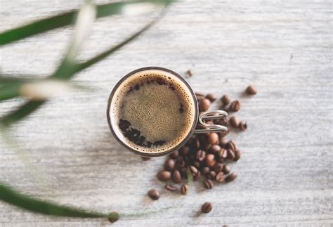 Compostable Coffee Pods Making Coffee More Sustainable In 2020 | Science Times